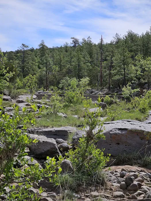 Camp Wood Area 9