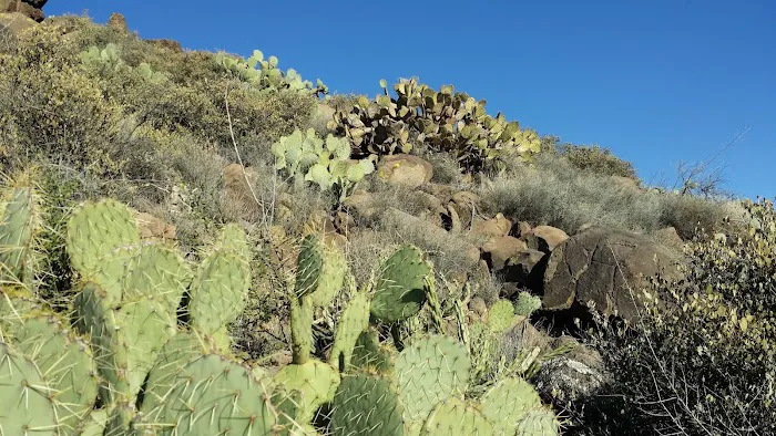 Agua Fria National Monument 7