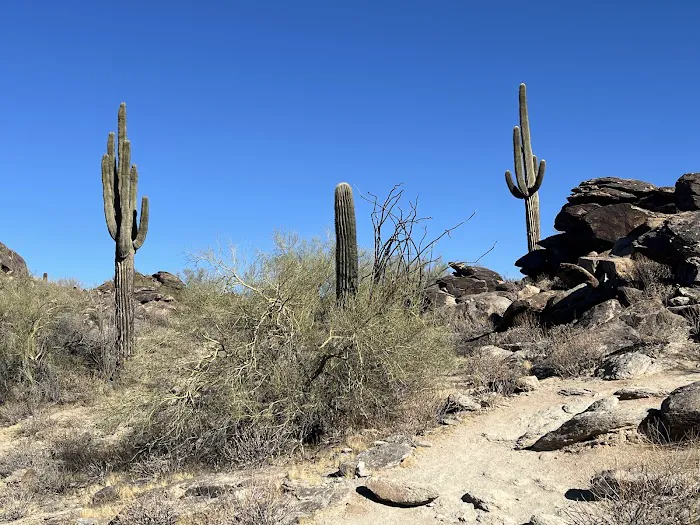 South Mountain Park and Preserve 0
