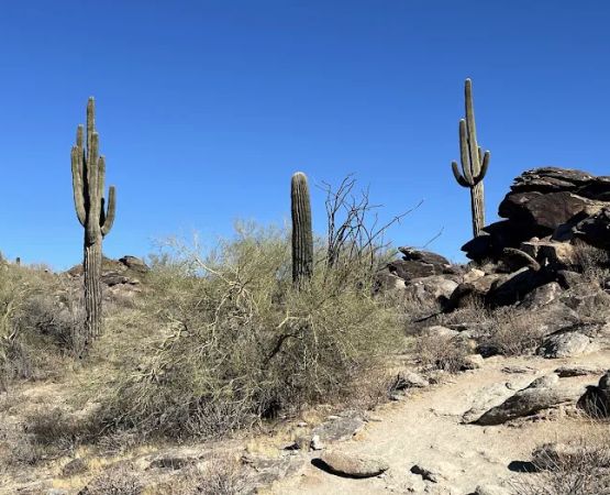 South Mountain Park and Preserve