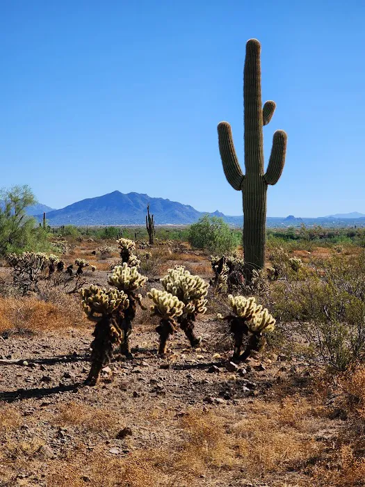 Sonoran Preserve -Desert Vista Trailhead 0