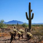 Sonoran Preserve -Desert Vista Trailhead