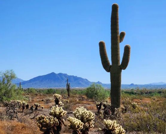 Sonoran Preserve -Desert Vista Trailhead