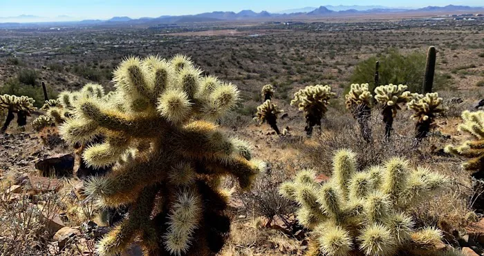Sonoran Preserve -Desert Vista Trailhead 2