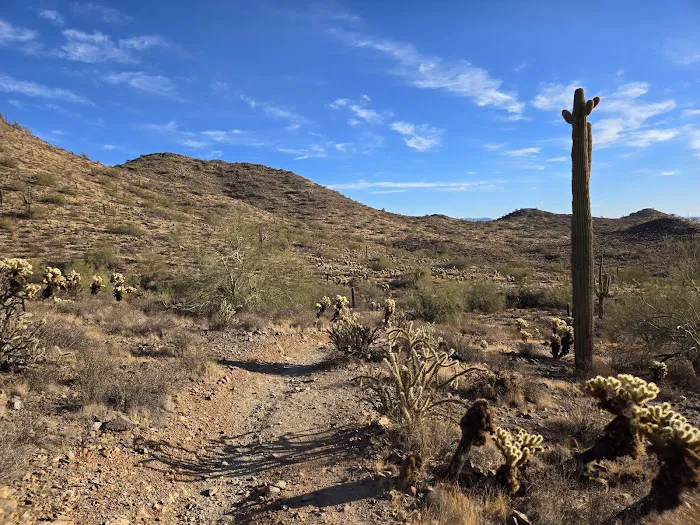 Sonoran Preserve -Desert Vista Trailhead 5