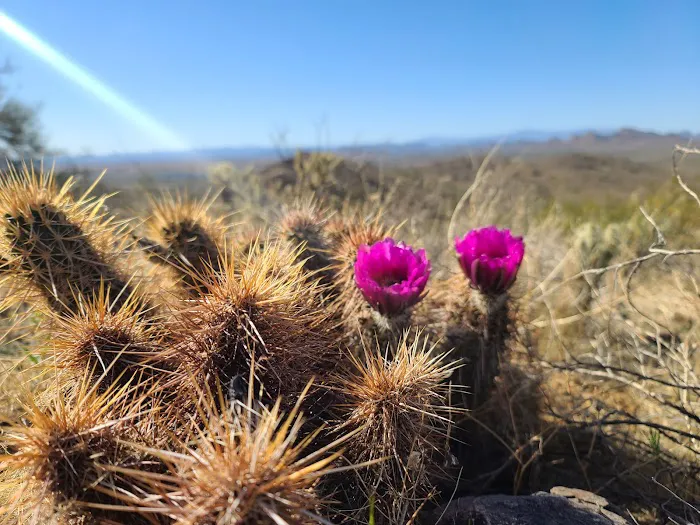 Sonoran Preserve -Desert Vista Trailhead 7