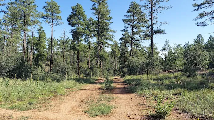 Willow Lake RV Park 8