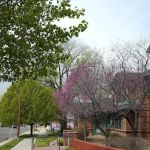 Groom Creek Horse Camp