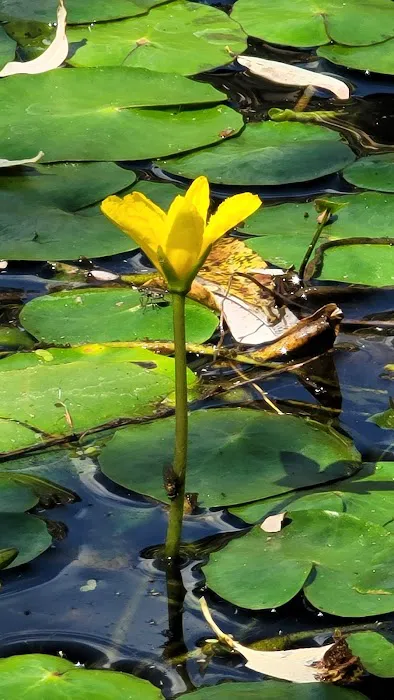 Granite Basin Recreation Area 9