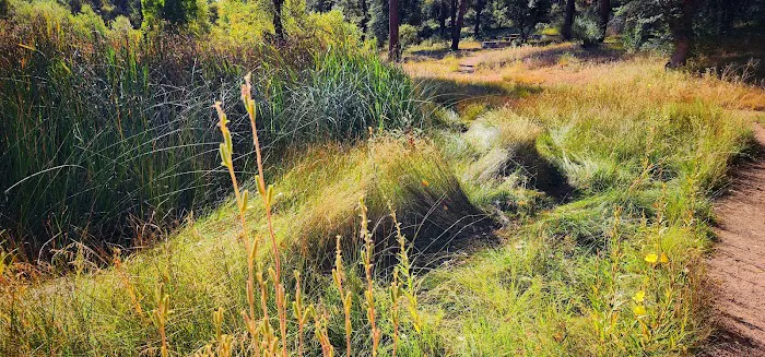 Granite Basin Recreation Area 8