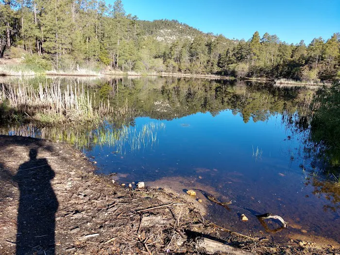 Hazlett Hollow Campground 9