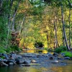 Clear Creek Campground