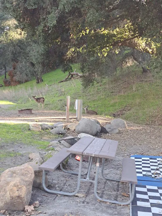 Conejo Campsite 3
