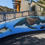 Museum of Natural History