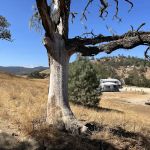 Santa Margarita Lake Recreation & Natural Area