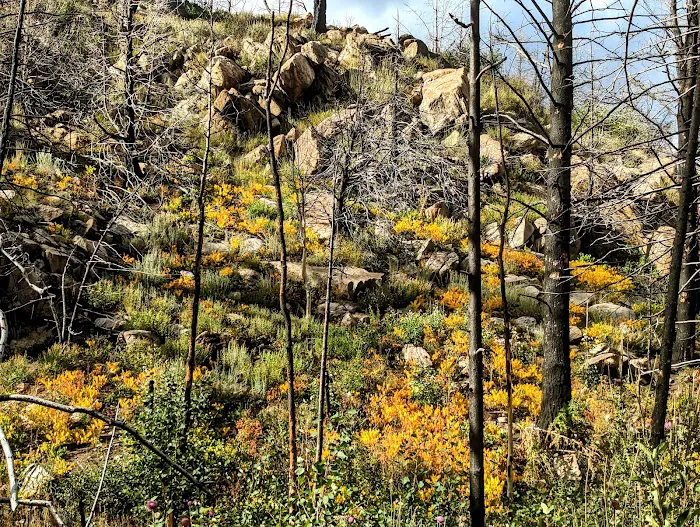 Pike Pole Campground 0