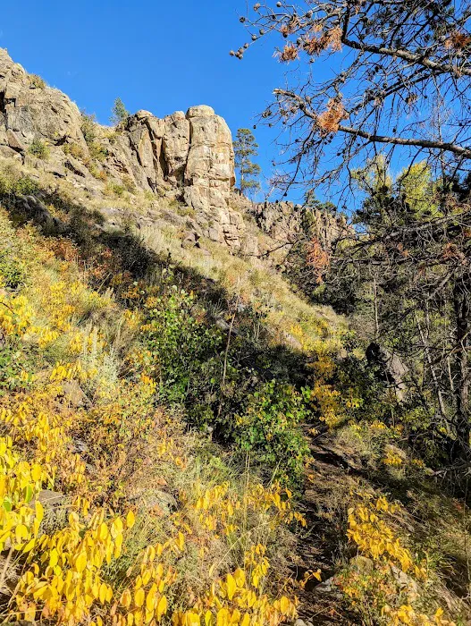 Pike Pole Campground 1
