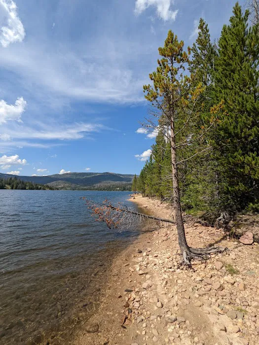 Hog Park Campground 2