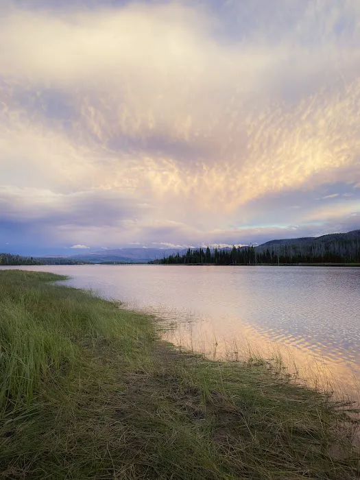 Hog Park Campground 5