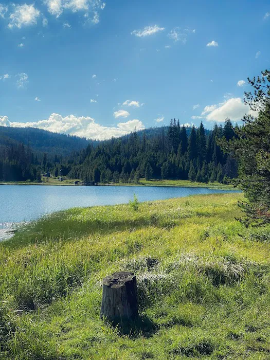 Hog Park Campground 8