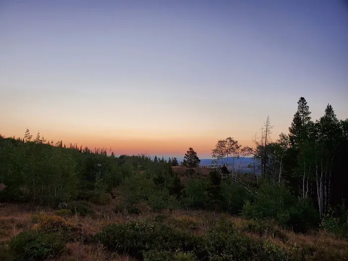 Bottle Creek Campground 1