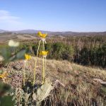 Bottle Creek Campground