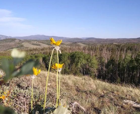 Bottle Creek Campground
