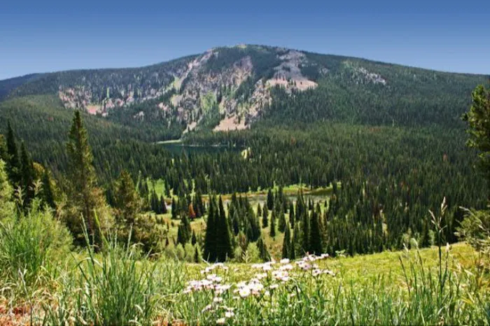 Red Desert Rose Campground 6