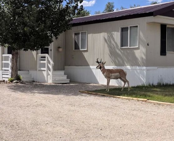 Ranch 66 Campground
