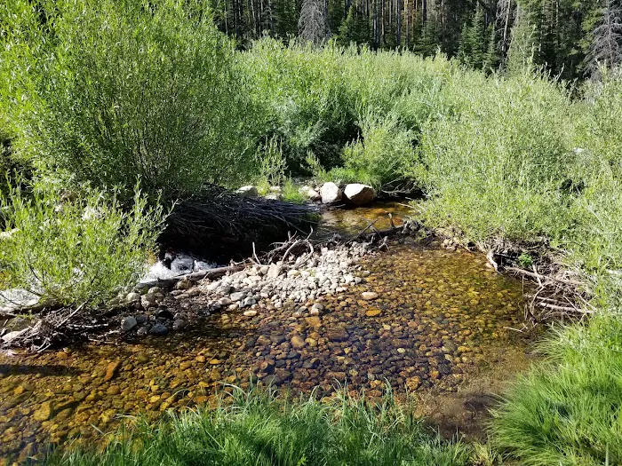 South Brush Creek Campground 5