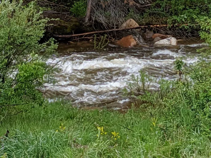 South Brush Creek Campground 3