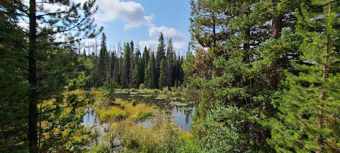 South Brush Creek Campground 8