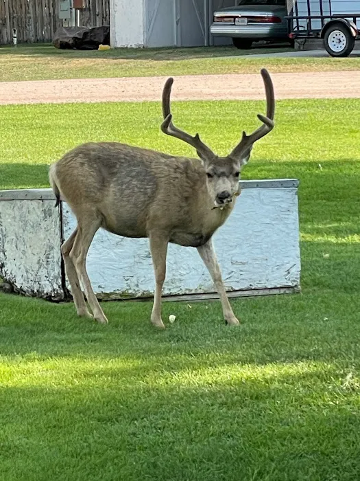 Deer Haven RV Park 7