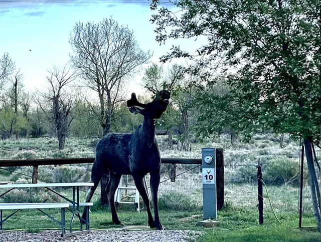 Deer Haven RV Park 9
