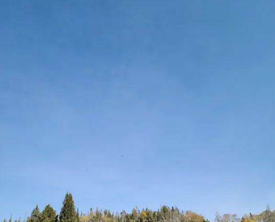 Jack Creek Campground