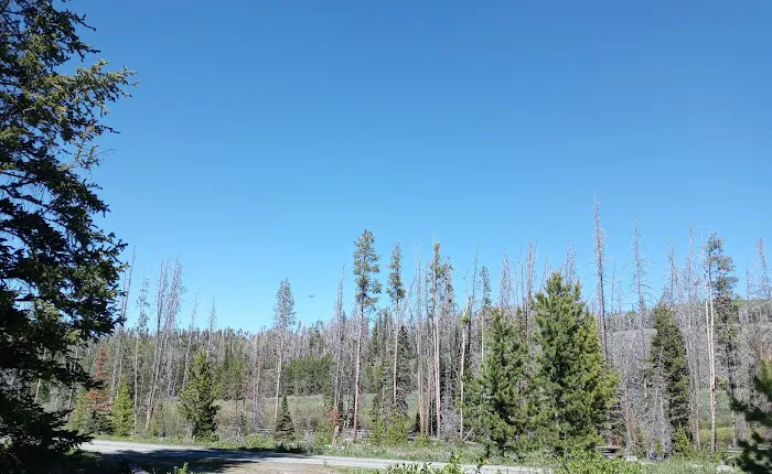 Jack Creek Campground 4