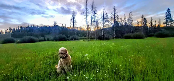 Jack Creek Campground 3