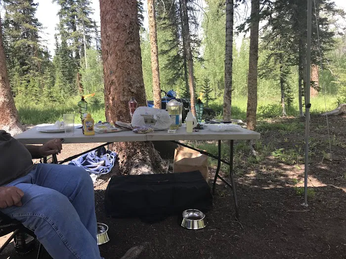 Jack Creek Campground 5