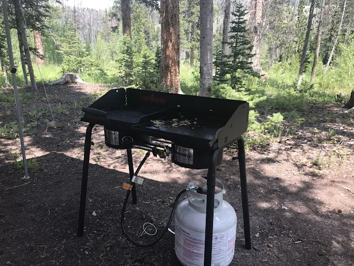 Jack Creek Campground 7