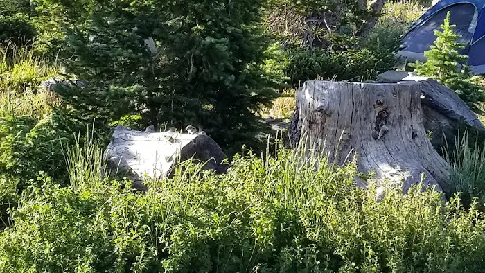 Brooklyn Lake Campground 3