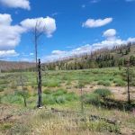 Pelton Creek Campground