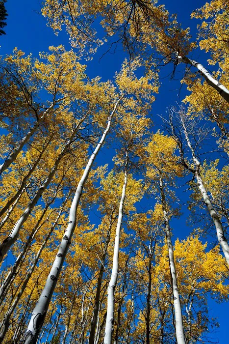 Lost Creek Campground 1