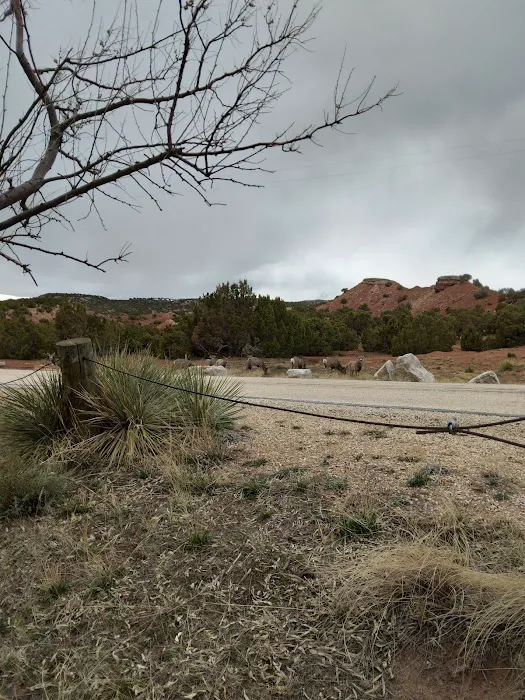Westside Campground 5