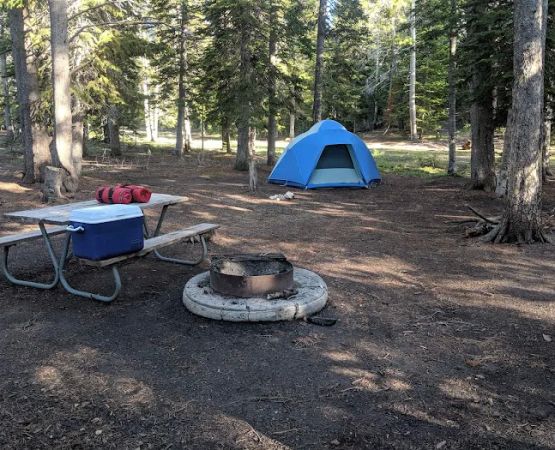 Elkhorn Springs Campground