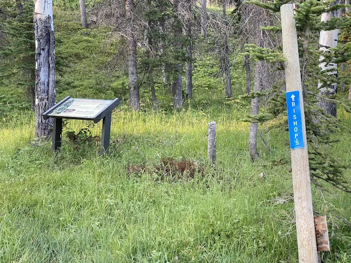 Elkhorn Springs Campground 2