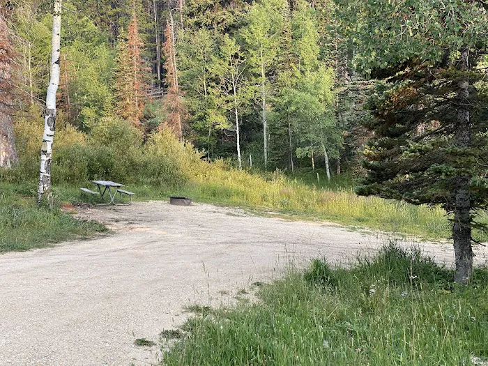 Elkhorn Springs Campground 3
