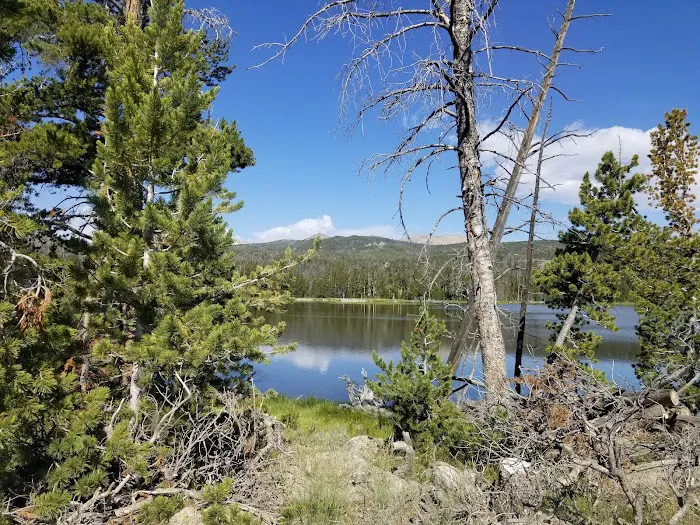 Fiddlers Lake Campground 2