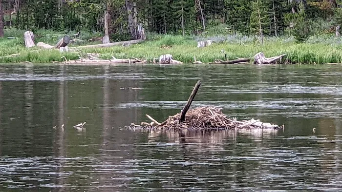 Fiddlers Lake Campground 3