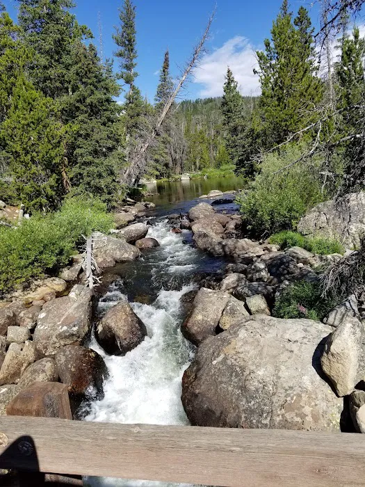 Fiddlers Lake Campground 4