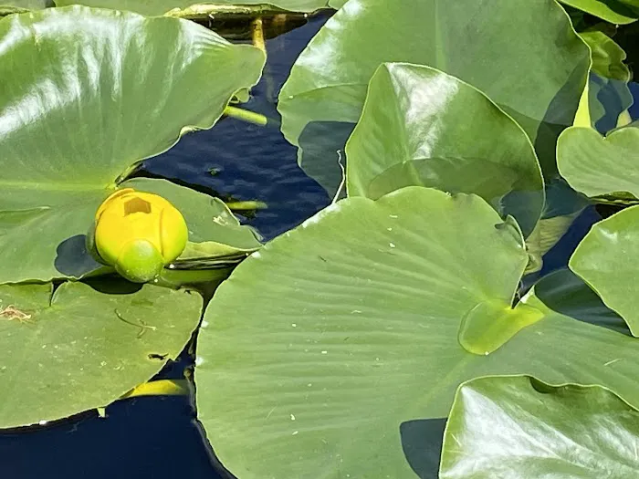 Fiddlers Lake Campground 9